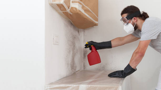 Professional Mold Cleanup technician working in Medford, NJ
