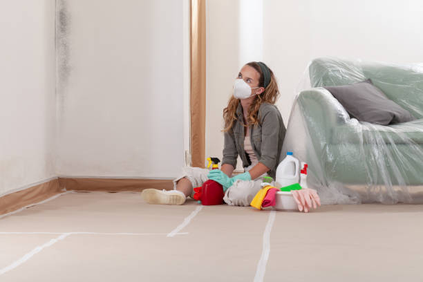 Reliable Mold Cleanup contractor in Medford, NJ by WQB Mold Removal